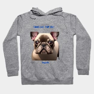 Its a Dog's life Hoodie